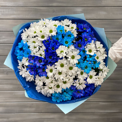 Синие ромашки — купить цветы с доставкой по Москве и МО | «Букет-Маркет»